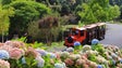 Parque Temático da Madeira celebra 17 anos