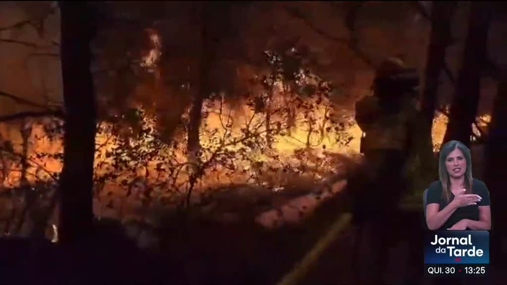 Imagem de Incêndios na Grécia provocaram a morte de três bombeiros