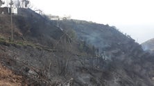 Imagem de Incêndio na Ponta do Pargo foi tema de debate no parlamento (Áudio)
