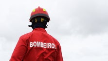 Imagem de Representante da República devolve Estatuto do Bombeiro ao Parlamento