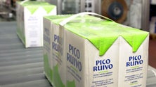 Imagem de Antigos trabalhadores da ILMA indemnizados esta semana