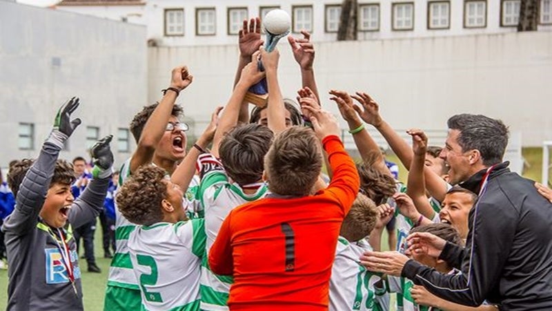 Imagem de Leões em festa
