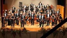 Imagem de Orquestra Clássica da Madeira quer mais apoio para adquirir instrumentos