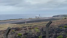 Imagem de Grupo Aeroporto do Pico defende que nem a vinha nem o VITIS são problemas para ampliação da pista