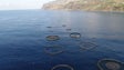 Projeto de aquacultura da Ponta do Sol vai avançar