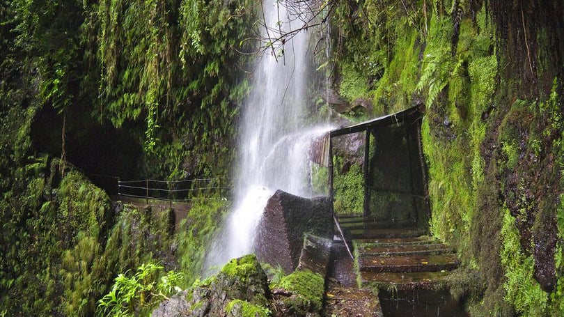 Imagem de Turista sofre queda de 8 metros na Levada da Ribeira da Janela