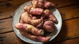 Imagem de Batata-doce da Madeira alvo de investigação contra praga