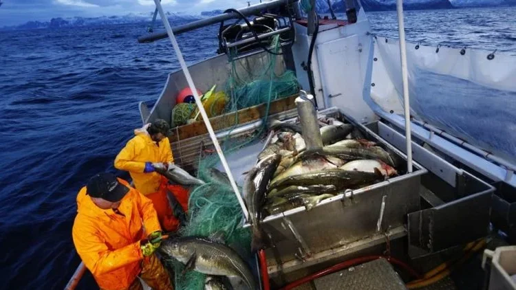 Imagem de Portugal tem menos de 11% da frota de pesca da União Europeia