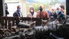 Imagem de PS quer compensar agricultores (vídeo)