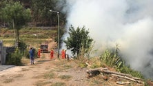 Imagem de Governo Regional suspeita de fogo posto na Tabua