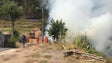 Governo Regional suspeita de fogo posto na Tabua
