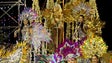 Destino Madeira está a ser vendido mais caro este Carnaval