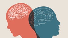 Imagem de Já está em vigor a nova lei da saúde mental (vídeo)