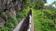 Imagem de Trabalhador da Câmara do Funchal morreu após queda na levada da Corujeira