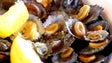 Semana Gastronómica de Machico faz as delícias dos madeirenses