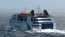 Imagem de Lobo Marinho retoma viagens