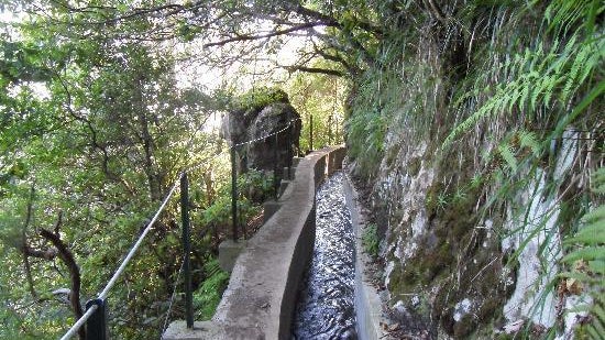 Imagem de Queda grave em levada