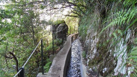 Queda grave em levada