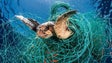Governo pede ajuda aos pescadores para o combate ao lixo marinho
