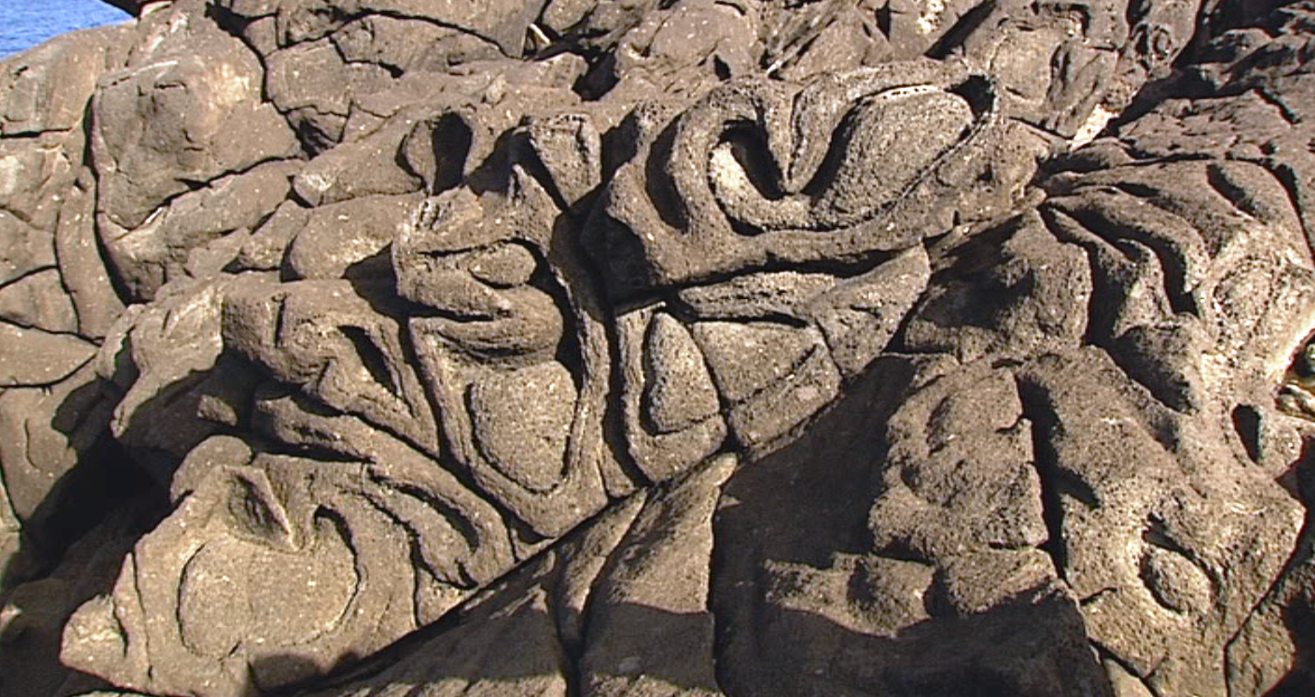 Media player poster frame