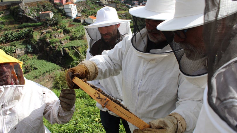 Novas formações na Escola Agrícola da Madeira em março