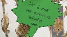 Imagem de Secretária da Educação reitera importância do incentivo à leitura