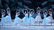 Imagem de Bailado Quebra-Nozes enche Teatro Municipal