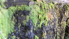 Imagem de Sobe para 4 o número de quedas mortais na levada Fajã do Rodrigues (Vídeo)