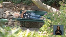 Imagem de Associação Protetora dos Pobres apoia mais de 460 pessoas na Região (vídeo)