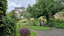 Mais de 100 plantas aromáticas e medicinais no Museu de História Natural do Funchal (áudio)