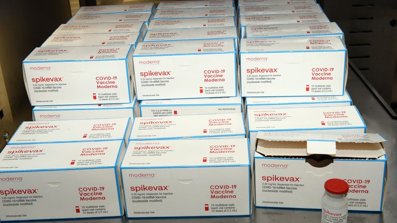 Madeira recebeu 7200 vacinas da Moderna