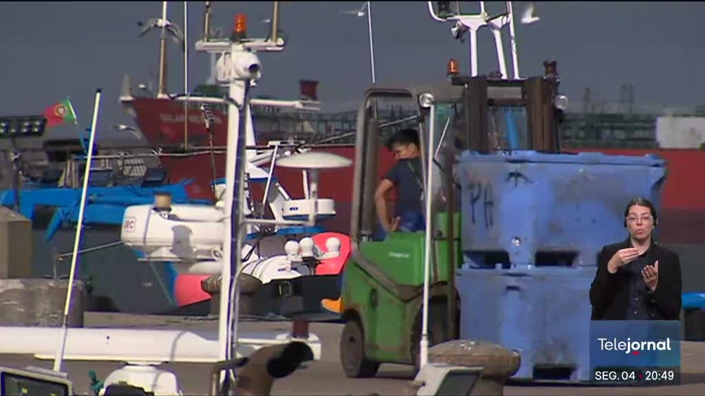 Pesca da sardinha reabriu após quase cinco meses encerrada