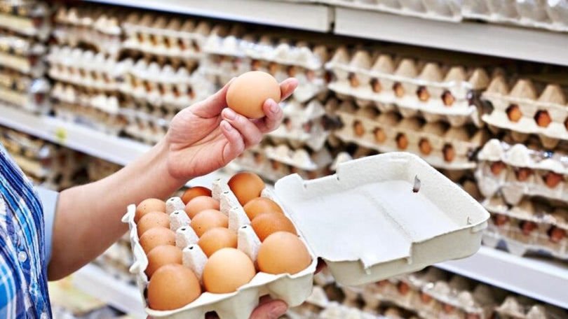 Imagem de Ovos em Portugal aumentaram 46% em janeiro