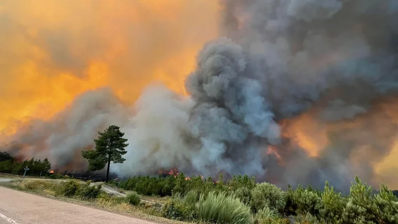 Fogo na Samardã, Vila Real, «está a aproximar-se» de posto de combustível