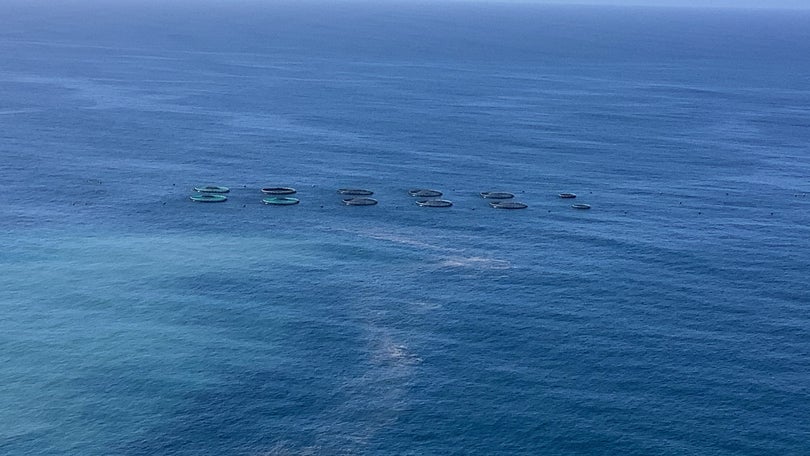 Jaulas de aquacultura alvo de reparação