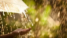Imagem de Seis distritos do continente e Madeira sob aviso amarelo devido à chuva