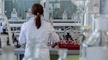 Imagem de Centro de Química da Madeira integra nova rede nacional de investigação (Vídeo)