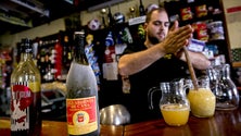 Imagem de Parlamento Europeu mantém “protegidos” a Poncha e o Rum da Madeira