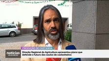 Imagem de Produtores de castanha vão ser apoiados na reconversão dos soutos (vídeo)