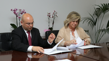 Imagem de Nova sede do Núcleo da Madeira da Liga Contra o Cancro pronta em 2019