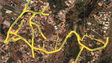 Imagem de Corte de água no Caminho do Arieiro e no Caminho do Palheiro