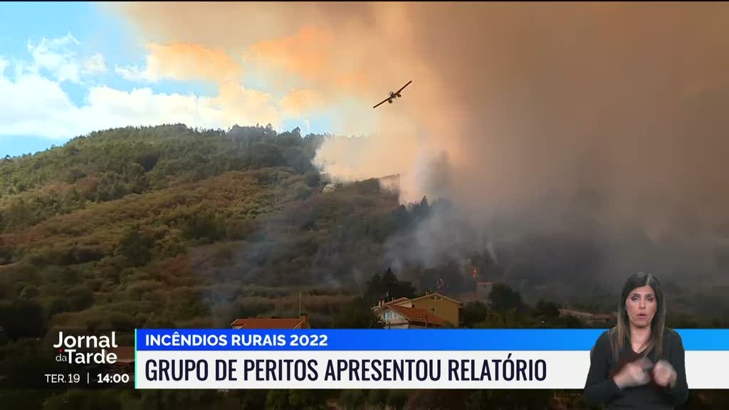 Incêndios rurais. Relatório aponta falhas no combate aos fogos