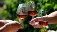 Imagem de Comercialização de vinho generoso «Madeira» aumentou