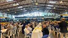 Imagem de Horários do Funchal quer mais 20 autocarros elétricos (áudio)