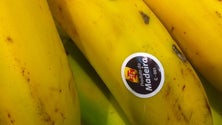 Imagem de Marca Madeira em revisão (áudio)