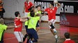 Imagem de Madeira Andebol perde frente ao Benfica por 26-23