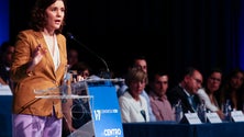 Imagem de Líder do CDS-PP diz que atuação do governo é um “logro permanente”
