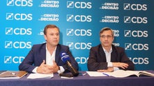 Imagem de CDS propõe ferry todo o ano financiado a 50% pela República