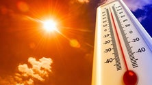 Imagem de A temperatura do ar vai subir nos próximos dias na Madeira