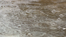 Imagem de Chuva provoca inundações (Vídeo)